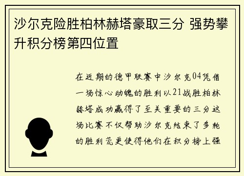 沙尔克险胜柏林赫塔豪取三分 强势攀升积分榜第四位置